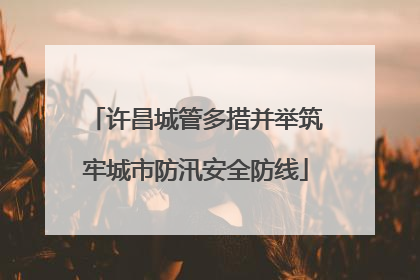 许昌城管多措并举筑牢城市防汛安全防线