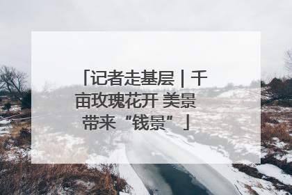 记者走基层｜千亩玫瑰花开 美景带来“钱景”