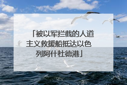 被以军拦截的人道主义救援船抵达以色列阿什杜德港