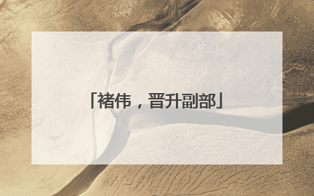褚伟，晋升副部