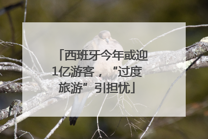 西班牙今年或迎1亿游客，“过度旅游”引担忧