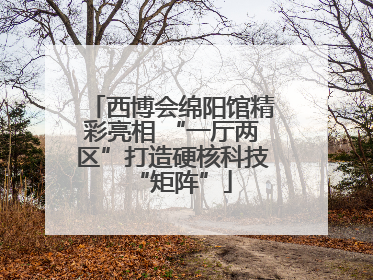 西博会绵阳馆精彩亮相 “一厅两区”打造硬核科技“矩阵”