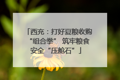 西充：打好夏粮收购“组合拳” 筑牢粮食安全“压舱石”