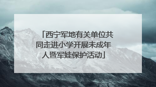 西宁军地有关单位共同走进小学开展未成年人暨军娃保护活动