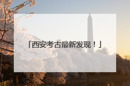 西安考古最新发现！