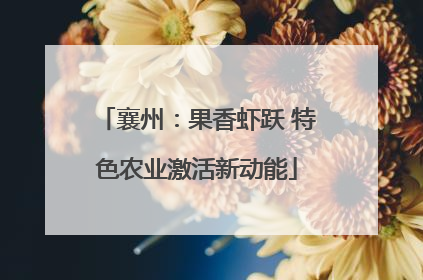襄州：果香虾跃 特色农业激活新动能