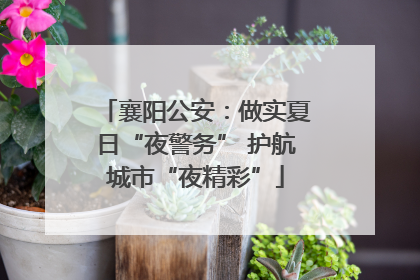 襄阳公安：做实夏日“夜警务” 护航城市“夜精彩”