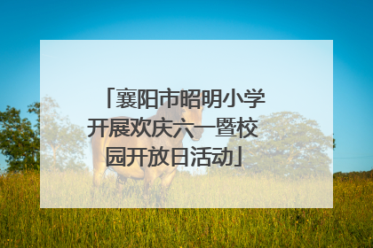 襄阳市昭明小学开展欢庆六一暨校园开放日活动