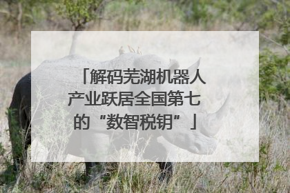 解码芜湖机器人产业跃居全国第七的“数智税钥”