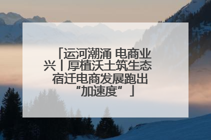 运河潮涌 电商业兴丨厚植沃土筑生态 宿迁电商发展跑出“加速度”