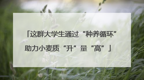 这群大学生通过“种养循环”助力小麦质“升”量“高”