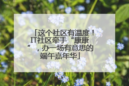 这个社区有温度！IT社区牵手“康康”，办一场有意思的端午嘉年华