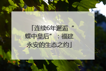 连续6年邂逅“蝶中皇后”：福建永安的生态之约