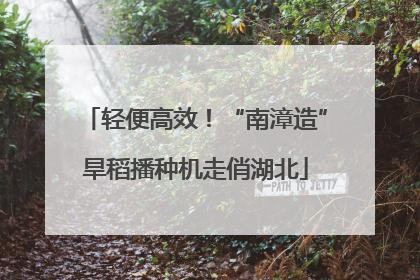 轻便高效！“南漳造”旱稻播种机走俏湖北