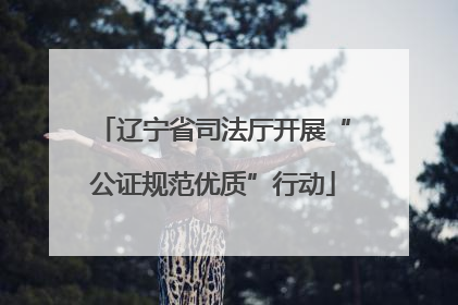 辽宁省司法厅开展“公证规范优质”行动