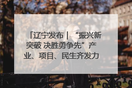 辽宁发布｜“振兴新突破 决胜勇争先”产业、项目、民生齐发力 葫芦岛按下决胜之年“加速键”