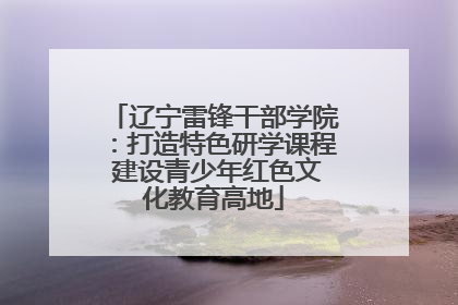 辽宁雷锋干部学院：打造特色研学课程 建设青少年红色文化教育高地