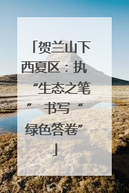 贺兰山下西夏区：执“生态之笔” 书写“绿色答卷”