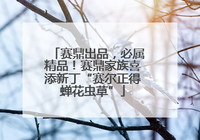 赛鼎出品，必属精品！赛鼎家族喜添新丁“赛尔正得蝉花虫草”