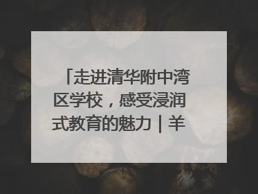 走进清华附中湾区学校，感受浸润式教育的魅力｜羊城名校行
