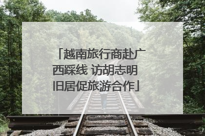 越南旅行商赴广西踩线 访胡志明旧居促旅游合作