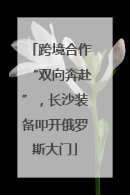 跨境合作“双向奔赴”，长沙装备叩开俄罗斯大门