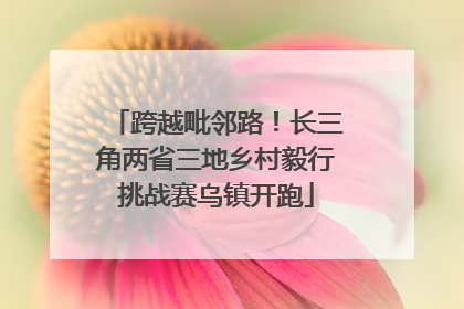 跨越毗邻路！长三角两省三地乡村毅行挑战赛乌镇开跑