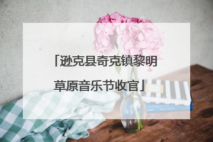 逊克县奇克镇黎明草原音乐节收官