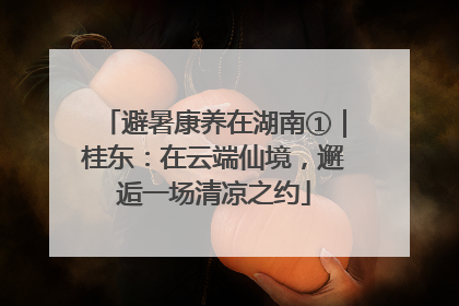 避暑康养在湖南①｜桂东：在云端仙境，邂逅一场清凉之约