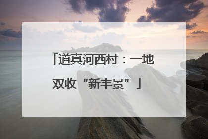 道真河西村：一地双收“新丰景”