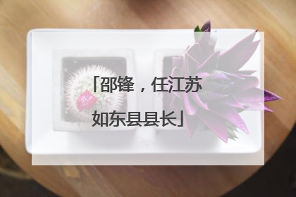 邵锋，任江苏如东县县长