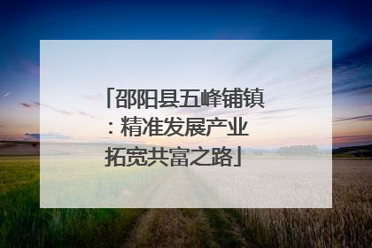 邵阳县五峰铺镇：精准发展产业 拓宽共富之路
