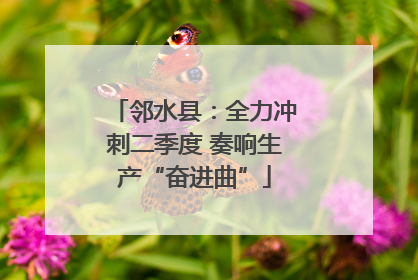 邻水县：全力冲刺二季度 奏响生产“奋进曲”