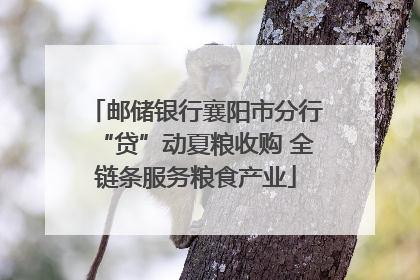 邮储银行襄阳市分行“贷”动夏粮收购 全链条服务粮食产业