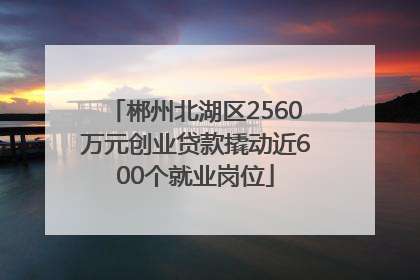 郴州北湖区2560万元创业贷款撬动近600个就业岗位