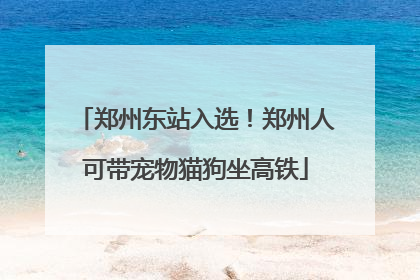 郑州东站入选！郑州人可带宠物猫狗坐高铁