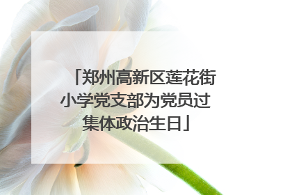 郑州高新区莲花街小学党支部为党员过集体政治生日