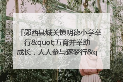 郧西县城关镇明德小学举行"五育并举助成长，人人参与逐梦行"庆六一活动