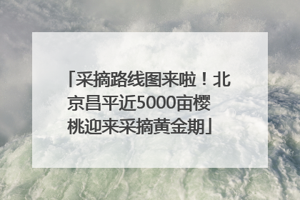 采摘路线图来啦！北京昌平近5000亩樱桃迎来采摘黄金期