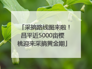 采摘路线图来啦！昌平近5000亩樱桃迎来采摘黄金期