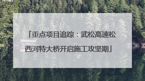 重点项目追踪：武松高速松西河特大桥开启施工攻坚期
