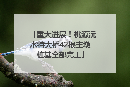 重大进展！桃源沅水特大桥42根主墩桩基全部完工