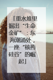 重水堆里掘出“生命金矿”：东海潮涌处，一座“核药硅谷”的崛起
