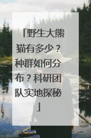 野生大熊猫有多少？种群如何分布？科研团队实地探秘
