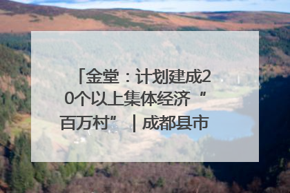 金堂：计划建成20个以上集体经济“百万村”｜成都县市新城高质量发展