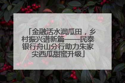 金融活水润瓜田，乡村振兴谱新篇——民泰银行舟山分行助力朱家尖西瓜甜蜜升级