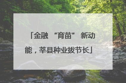 金融 “育苗” 新动能，莘县种业拔节长