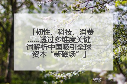 韧性、科技、消费……透过多维度关键词解析中国吸引全球资本“新磁场”