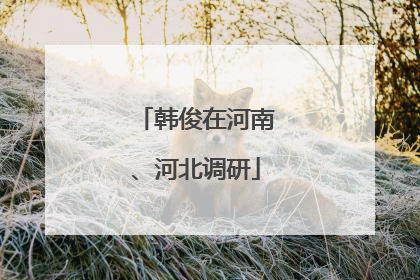 韩俊在河南、河北调研