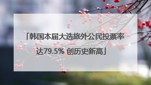韩国本届大选旅外公民投票率达79.5% 创历史新高
